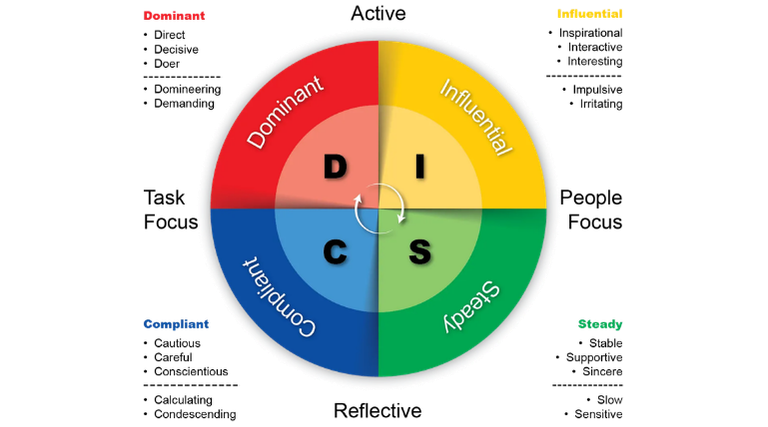 DISC Model Graphic