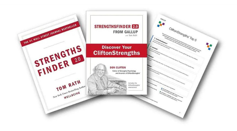 Gallup CliftonStrengths Assessment for Self and Team books